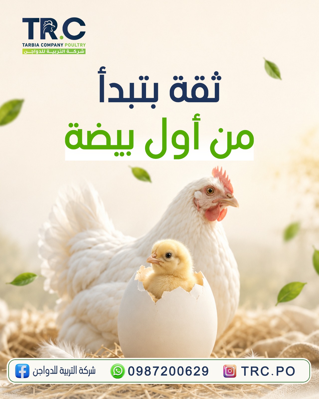 ثقة تبدأ من أول بيضة