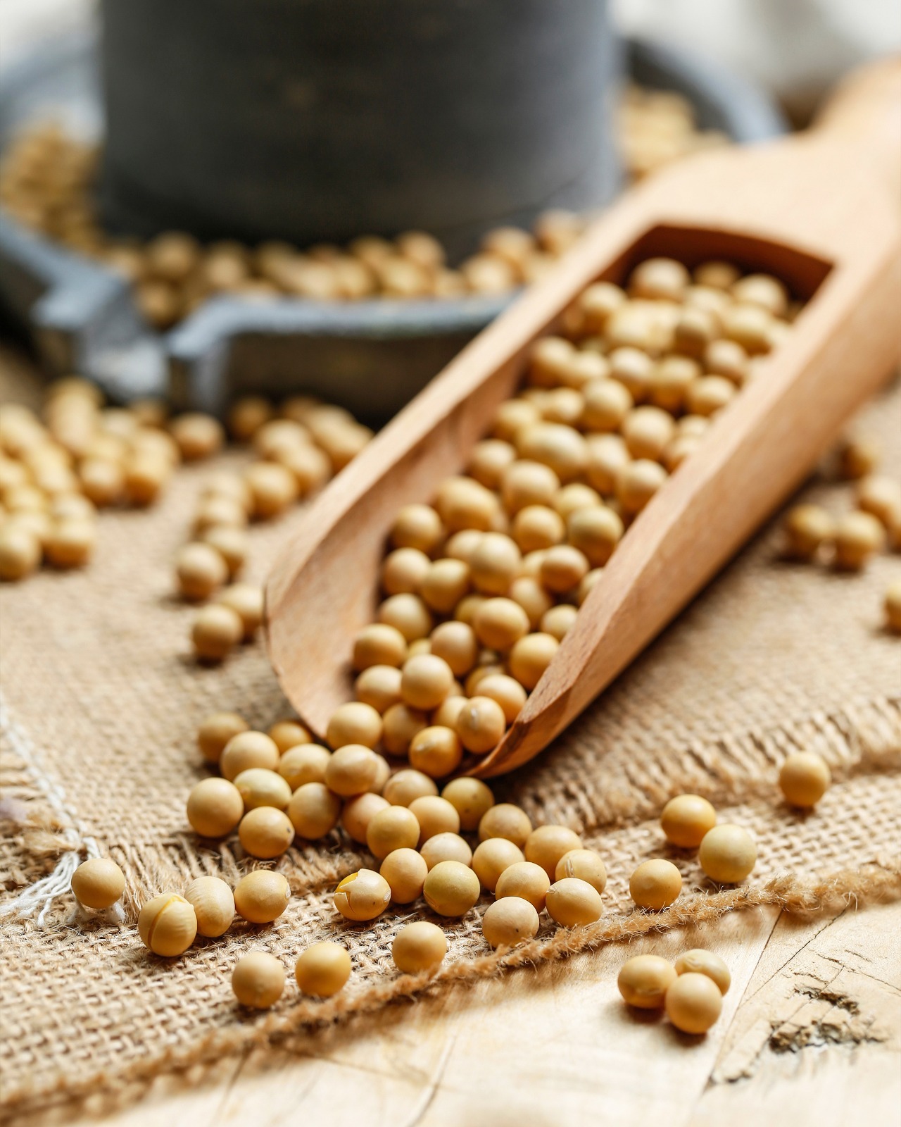 Soy