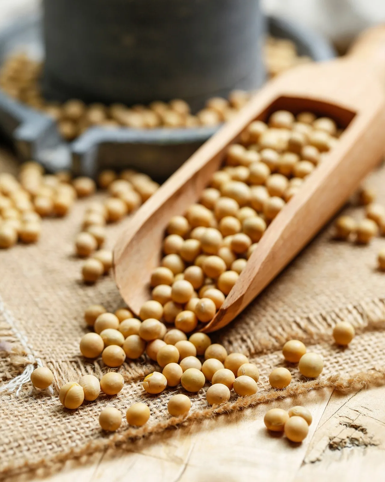 مادة الصويا