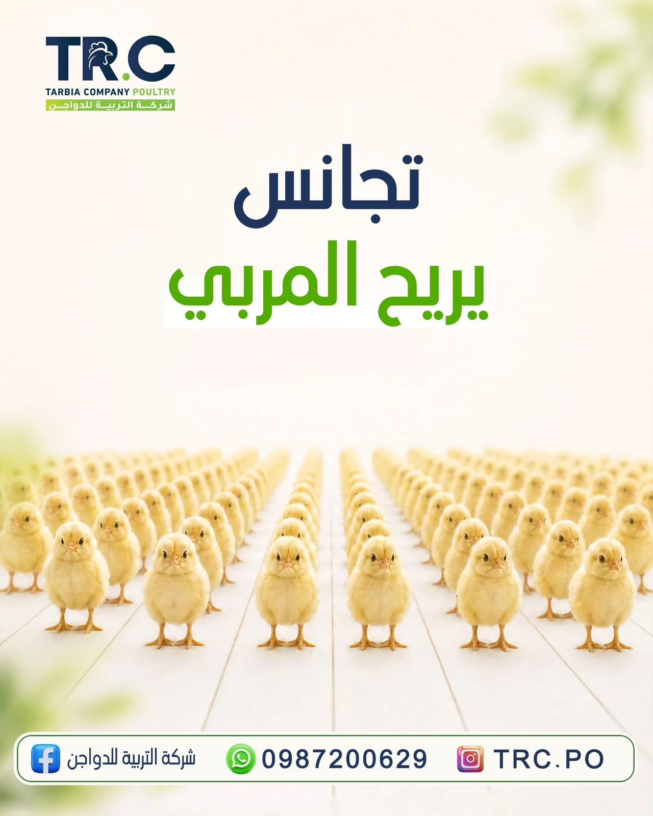 راحة المربي من أولوياتنا